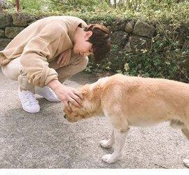 Cách phát Live Stream trên ứng dụng Instagram