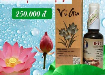 20620969 824649507708443 3445499155587020961 n