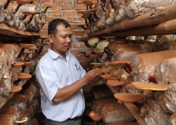 kinh doanh it von o nong thon