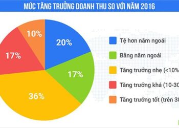 40% cửa hàng online không tăng trưởng trong năm 2017