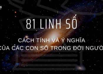 81 Linh Số – Cách Tính Và Xem Phong Thủy Các Con Số?