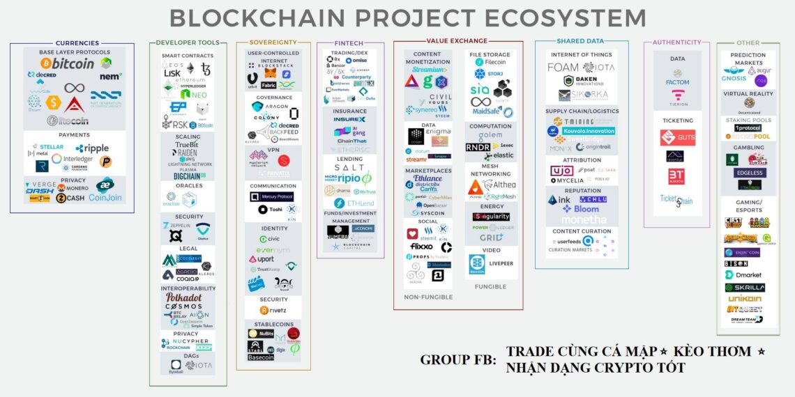 NHẬN DIỆN CRYPTO TỐT THÔNG QUA CÁC NHÓM CRYPTO CÙNG HỆ SINH THÁI BLOCKCHAIN