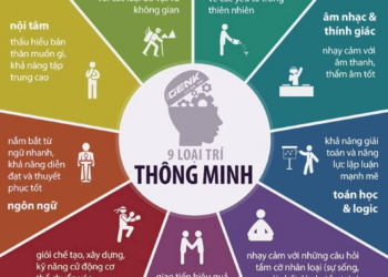 12 BÀI TEST FREE GIÚP BẠN KHÁM PHÁ BẢN THÂN