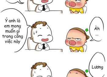 NHỮNG LƯU Ý CẦN CHUẨN BỊ KHI ĐI PHỎNG VẤN XIN VIỆC