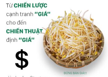Từ CHIẾN LƯỢC cạnh tranh “GIÁ” cho đến CHIẾN THUẬT định “GIÁ” dành cho Startup.