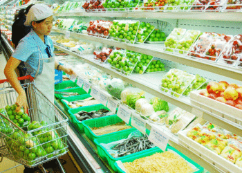 Những ý tưởng kinh doanh thực phẩm sạch tại các thành phố lớn