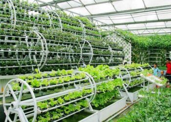 KHỞI NGHIỆP NÔNG NGHIỆP!