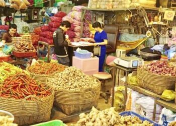 Nguồn nhập hàng chợ đầu mối lớn nhất TP. HCM