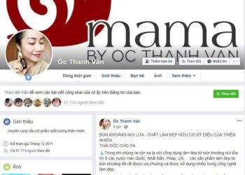 Tìm hiểu cách bán hàng mỹ phẩm trên Facebook của Ốc Thanh Vân