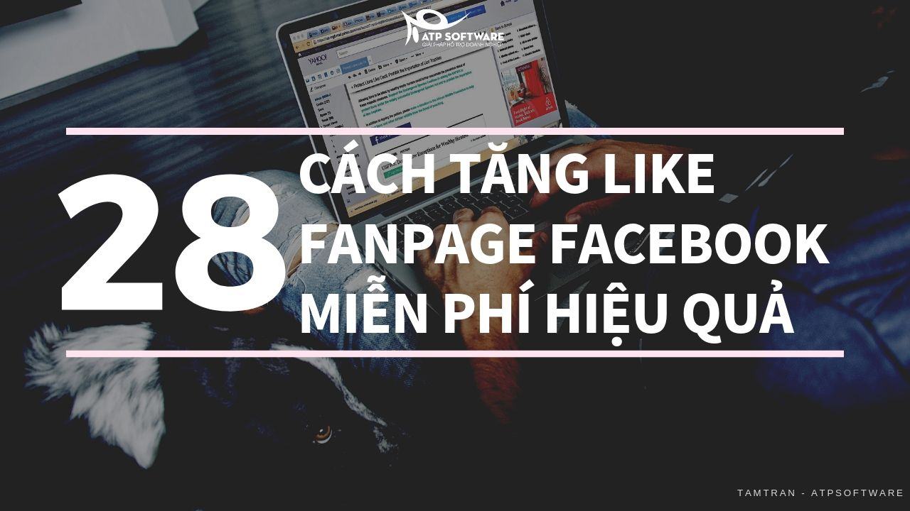 Top 4 Cách Chạy Quảng Cáo Tăng Like Fanpage Trên Facebook