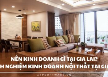 Nên kinh doanh gì tại Gia Lai? – Kinh nghiệm kinh doanh nội thất tại Gia Lai
