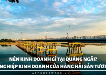 Nên kinh doanh gì tại Quảng Ngãi? – Kinh nghiệm kinh doanh cửa hàng hải sản tươi sống tại Quảng Ngãi