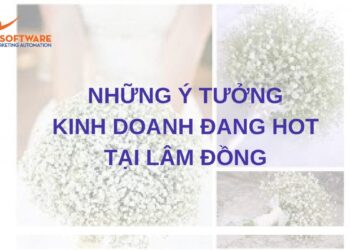 Gợi ý những ý tưởng kinh doanh đang hot tại Lâm Đồng