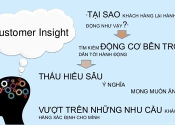 Customer insights là gì? Xây dựng customer insight như thế nào? Phương pháp tìm Customer insights ?