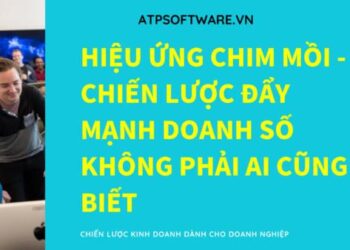 3 chiến lược hiệu ứng chim mồi – tuyệt chiêu bán  hàng không phải ai cũng biết