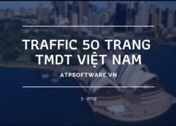 Thống kê traffic 50 website thương mại điện tử (tmdt) hàng đầu Việt Nam 2019
