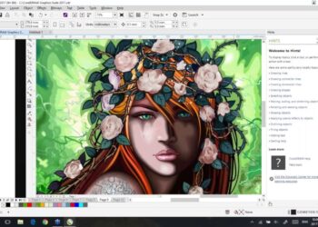 10 lựa chọn thay thế hàng đầu của Adobe Illustrator