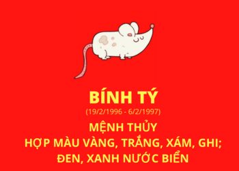Sinh năm 1996 mệnh gì?