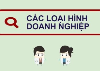 CÁC LOẠI HÌNH DOANH NGHIỆP Ở VIỆT NAM HIỆN NAY