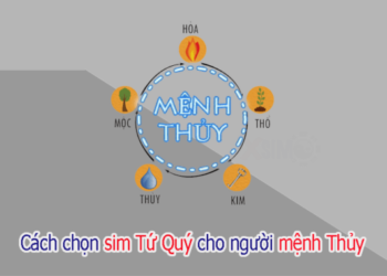 Người mệnh Thủy sử dụng sim gì? Đừng chọn Sim hợp mệnh Thuỷ nếu không biết 3 yếu tố này