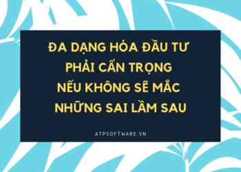 da-dang-hoa-dau-tu-phai-can-trong-neu-khong-se-mac-nhung-sai-lam-sau