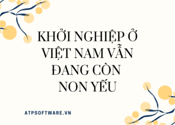 Khởi nghiệp ở Việt Nam vẫn đang còn non yếu