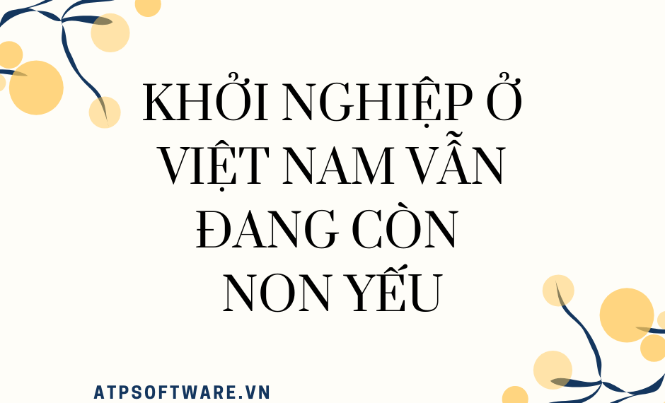 Khởi nghiệp ở Việt Nam vẫn đang còn non yếu