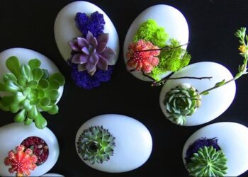 Nông nghiệp kinh doanh gì: Ý tưởng kinh doanh xanh đang là hướng đi tích cực cho doanh nghiệp.