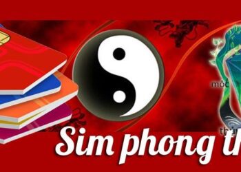 Tra cứu sim phong thủy như thế nào là đúng? Tại sao phải cần tra cứu sim hợp phong thủy trước khi mua