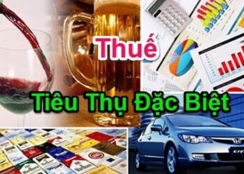 Cách tính thuế tiêu thụ đặc biệt mới nhất 2019