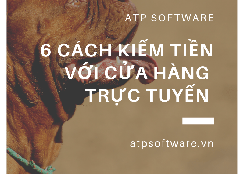 6 cách để xác định sản phẩm có lợi nhuận và kiếm tiền với cửa hàng trực tuyến của bạn 1 6 cách để xác định sản phẩm có lợi nhuận và kiếm tiền với cửa hàng trực tuyến của bạn
