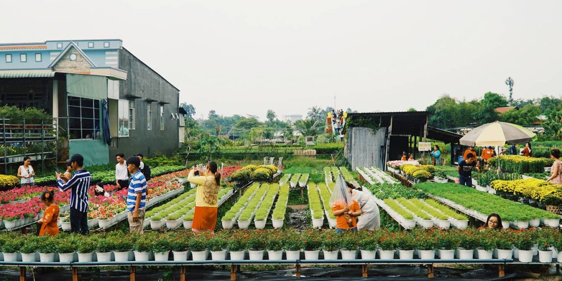 Tổng hợp các nguồn nhập hoa tươi lớn nhất hiện nay – Kinh nghiệm mở shop hoa tươi và bán hoa tết