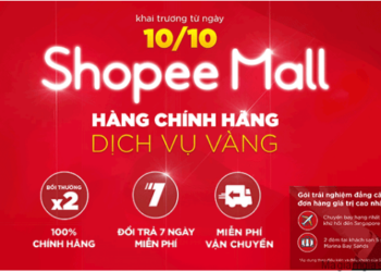 shopee-mall-la-gi