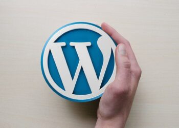 16 bước để học phát triển WordPress như một chuyên gia