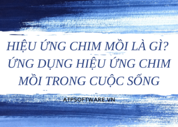 hieu-ung-chim-moi-la-gi-ung-dung-hieu-ung-chim-moi-trong-cuoc-song