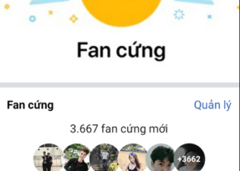 Hướng dẫn đạt HUY HIỆU FAN CỨNG khi bạn bình luận trên Fanpage Facebook hiệu quả