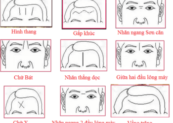 Tổng hợp xem tướng trán đoán vận mệnh tương lai