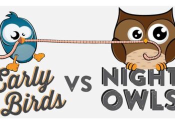 “Early Bird” là gì? “Night Owl” là gì? Tại sao có những người chỉ làm việc được vào buổi sáng và những người sáng tạo lúc nữa đêm?