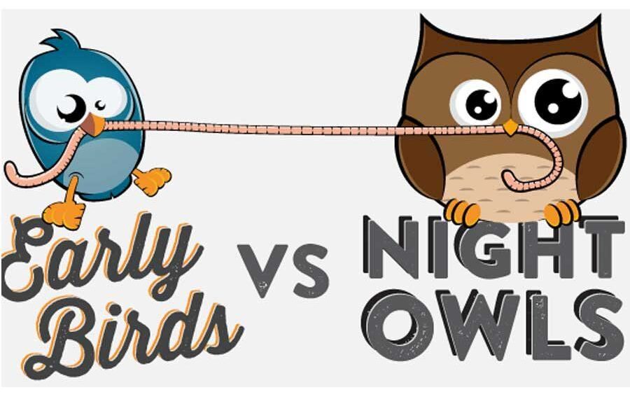 “Early Bird” là gì? “Night Owl” là gì? Tại sao có những người chỉ làm việc được vào buổi sáng và những người sáng tạo lúc nữa đêm?