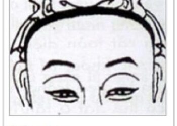 Tổng hợp xem tướng trán đoán vận mệnh tương lai