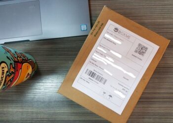 Ship Cod Buu Dien Ems 1024x768