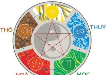 Sim Phong Thuy Theo Mệnh