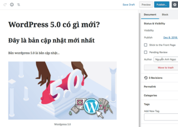 Wordpress 5.0