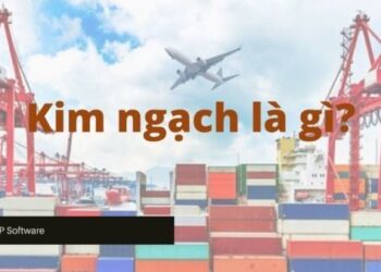 Kim Ngạch Là Gì