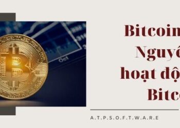 Bitcoin là gì? Tiền điện tử có được sử dụng ở các nước không?