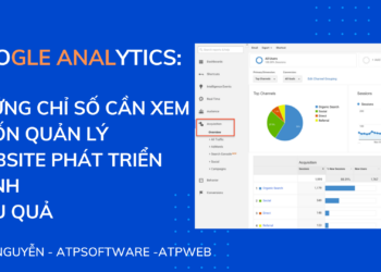 Google Analytics: Những chỉ số cần xem muốn quản lý website phát triển mạnh hiệu quả