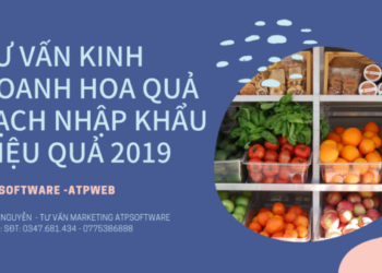 TƯ VẤn Kinh Doanh Hoa QuẢ SẠch NhẬp KhẨu HiỆu QuẢ 2019