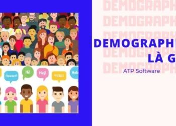 Demographic Là Gì (1)