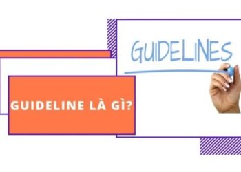 Guideline Là Gì (1)