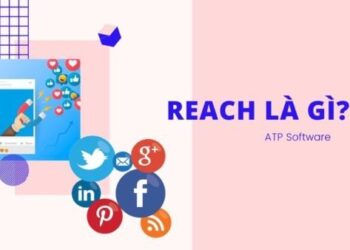 Reach Là Gì
